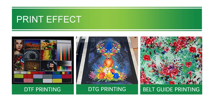 Dtf Pigment Heat Transfer Pet Film Ink Textile Printing Ink Dtf Ink for Epson XP600 L1800 L1805 I3200 4720 Dtf Printer